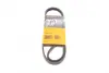 Ремень поликлиновой Conti continental 4 PK 915