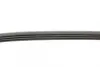 Ремень поликлиновой Conti continental 4PK925