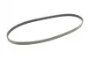 Ремень поликлиновой Conti continental 4PK925