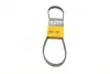 Ремень поликлиновой Conti continental 4PK925