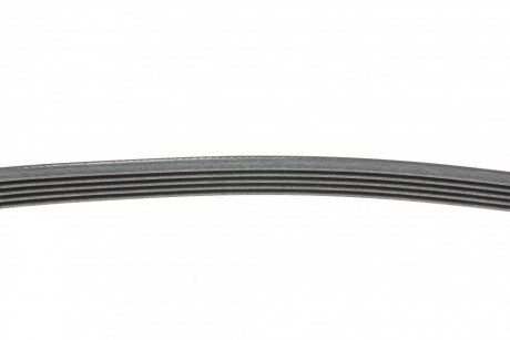 Привідний ремінь генератора continental 5PK1010