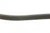 Ремень поликлиновой Conti continental 5PK1121EXTRA