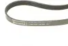 Ремень поликлиновой Conti continental 5PK1121EXTRA