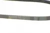 Ремень поликлиновой Conti continental 5 PK 1135