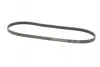 Ремень поликлиновой Conti continental 5 PK 1135