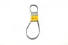 Ремень поликлиновой Conti continental 5 PK 1135