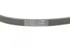 Ремень поликлиновой Conti continental 5PK1145