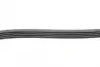 Ремень поликлиновой Conti continental 5 PK 1165