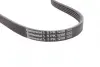Ремень поликлиновой Conti continental 5PK1200