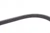 Ремень поликлиновой Conti continental 5PK1200