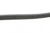Ремень поликлиновой Conti continental 5 PK 1290