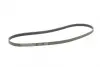 Ремень поликлиновой Conti continental 5 PK 1290