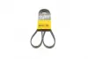 Ремень поликлиновой Conti continental 5PK1330