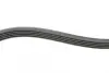 Ремень поликлиновой Conti continental 5PK1355