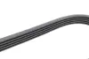 Ремень поликлиновой Conti continental 5 PK 1450
