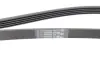 Ремень поликлиновой Conti continental 5 PK 1450