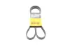 Ремень поликлиновой Conti continental 5 PK 1450