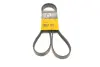 Ремень поликлиновой Conti continental 5PK1515