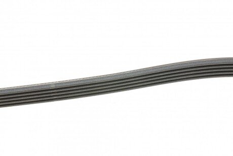 Приводной ремень генератора continental 5PK1570