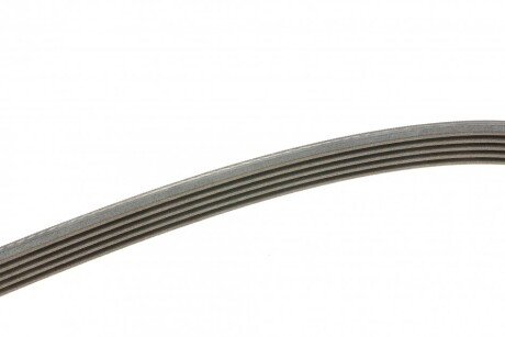 Привідний ремінь генератора continental 5PK1640