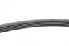Ремень поликлиновой Conti continental 5PK1765