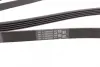 Ремень поликлиновой Conti continental 5 PK 1788