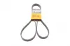 Ремень поликлиновой Conti continental 5 PK 1788