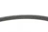 Ремень поликлиновой Conti continental 5 PK 1815