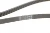 Ремень поликлиновой Conti continental 5 PK 1815