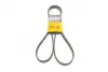 Ремень поликлиновой Conti continental 5 PK 1815