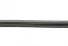 Ремень поликлиновой Conti continental 5 PK 1850