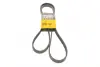 Ремень поликлиновой Conti continental 5 PK 1850