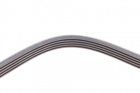 Привідний ремінь генератора continental 5PK2020