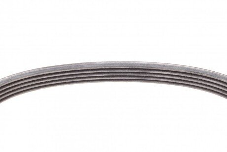 Привідний ремінь генератора continental 5PK491