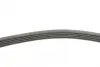 Ремень поликлиновой Conti continental 5PK716ELAST