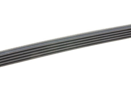 Приводной ремень генератора continental 5PK725