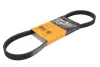 Ремень поликлиновой Conti continental 5PK800