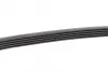 Ремень поликлиновой Conti continental 5 PK 813