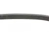 Ремень поликлиновой Conti continental 5 PK 830