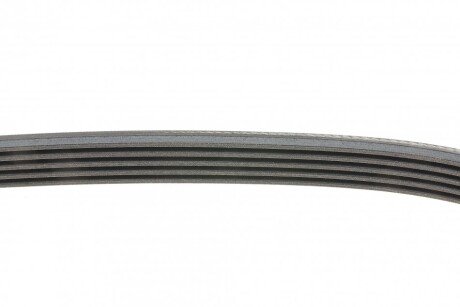 Привідний ремінь генератора continental 5PK830