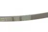 Ремень поликлиновой Conti continental 5 PK 830