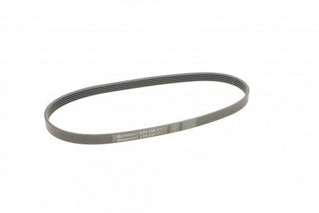 Привідний ремінь генератора continental 5PK830