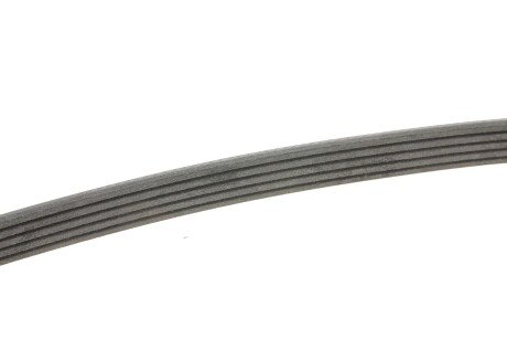 Приводной ремень генератора continental 5PK930