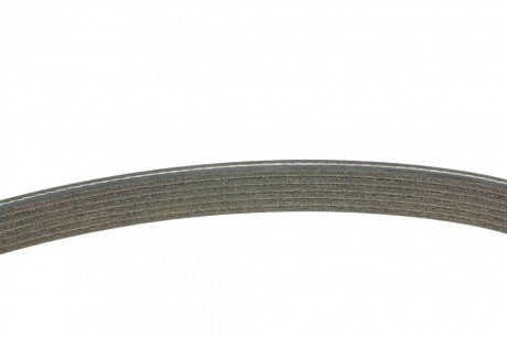 Привідний ремінь генератора continental 6DPK1825