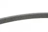 Ремень поликлиновой Conti continental 6 PK 1010