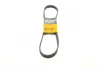 Ремень поликлиновой Conti continental 6 PK 1010