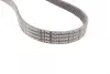 Ремень поликлиновой Conti continental 6PK1029ELAST