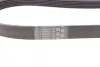 Ремень поликлиновой Conti continental 6PK1029ELAST