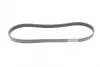 Ремень поликлиновой Conti continental 6PK1029ELAST