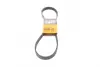 Ремень поликлиновой Conti continental 6PK1029ELAST